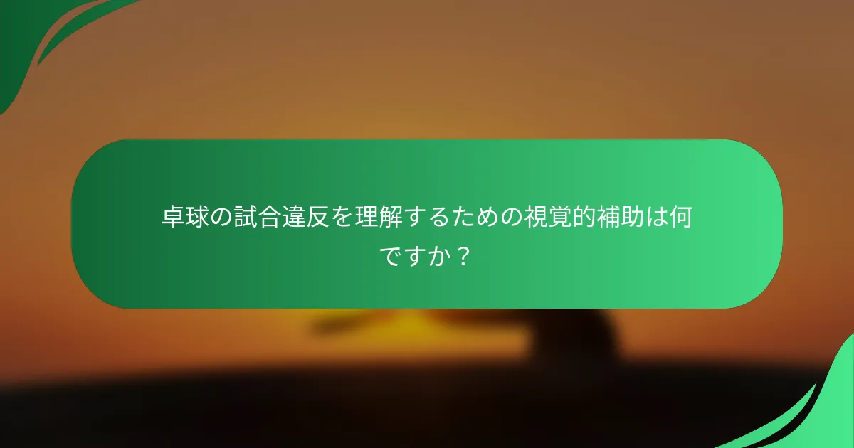 卓球の試合違反を理解するための視覚的補助は何ですか？
